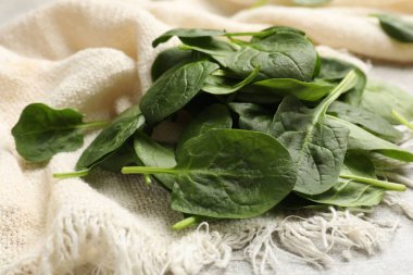 Işık masasında taze ıspanak yaprakları yığını, yakın plan.