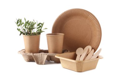 Çevre dostu yiyecek paketleri, sofra takımı ve ince dallar beyaz üzerine izole edilmiş.