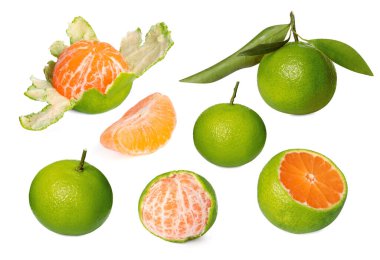 Taze taze mandalinalar ve yeşil kabuklar beyaza izole edilmiş.