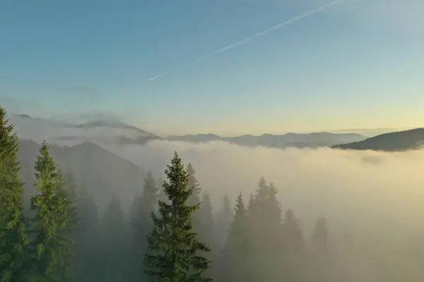 Вид Воздуха Красивые Горы Хвойные Деревья Туманное Утро — стоковое фото