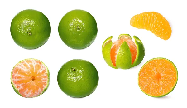 Fresh Ripe Tangerines Green Peel Isolated White Set — Stock Photo, Image