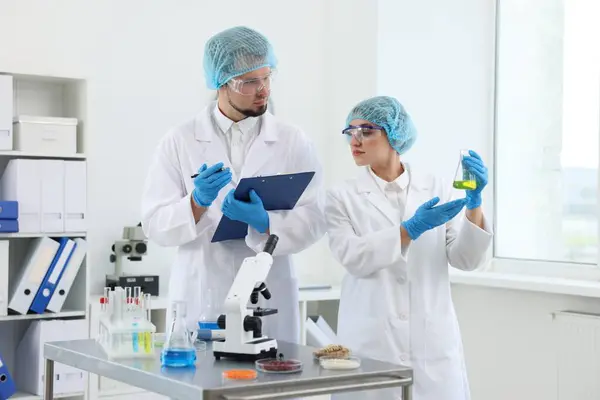Quality Control Food Inspectors Checking Safety Products Laboratory — Stockfoto