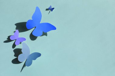 Açık mavi duvarda renkli parlak kağıt kelebekleri