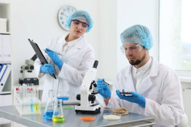 Kalite kontrolü. Gıda müfettişleri ürünlerin güvenliğini laboratuvarda kontrol ediyorlar