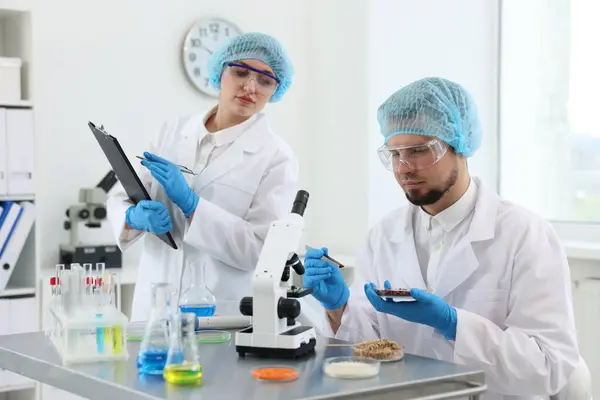 Qualitätskontrolle Lebensmittelkontrolleure Überprüfen Die Sicherheit Von Produkten Labor — Stockfoto