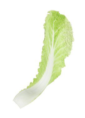 Taze Çin lahanası yaprağı beyaza izole edilmiş.