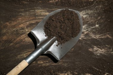 Kirli ahşap yüzeyinde verimli toprak bulunan metal kürek, üst manzara.