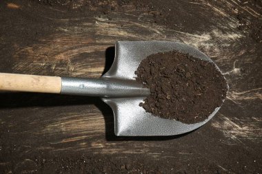 Kirli ahşap yüzeyinde verimli toprak bulunan metal kürek, üst manzara.
