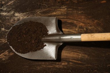 Kirli ahşap yüzeyinde verimli toprak bulunan metal kürek, üst manzara.