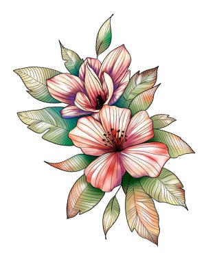 Beyaz arka planda yaprakları olan güzel çiçekler. Renk illüstrasyonu