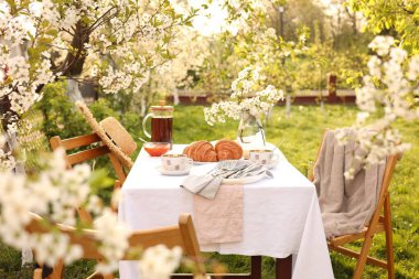 Güzel bahar çiçekleri, çay ve kruvasan bahçeli şık bir masa.