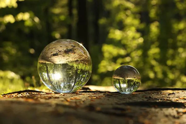 stock image Beautiful forest with green trees, overturned reflection. Crystal balls on ground outdoors