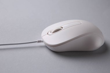 Gri arkaplanda bir kablo faresi, yakın plan