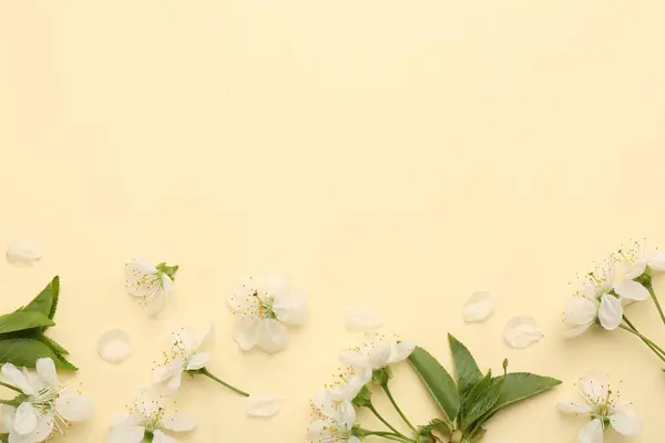 Beautiful Spring Tree Blossoms Petals Beige Background Flat Lay Space Royalty Free Stock Photos