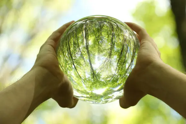 Green Trees Outdoors Overturned Reflection Man Holding Crystal Ball Forest Imagens Royalty-Free