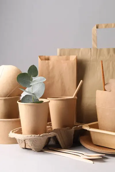 Miljövänlig Livsmedelsförpackning Pappersbehållare Bordsartiklar Påsar Och Eukalyptusgrenar Vitt Bord — Stockfoto
