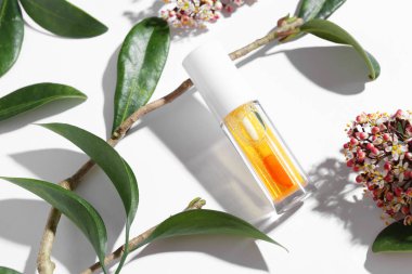 Turuncu dudak parlatıcısı, dal, yeşil yapraklar ve beyaz arka planda çiçekler, üst görünümde.