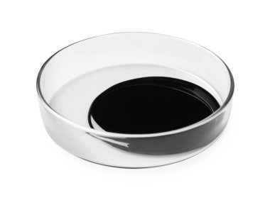 Petri kabındaki siyah ham petrol beyaza izole edilmiş.