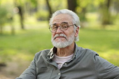 Parkta gözlüklü mutlu büyükbabanın portresi.