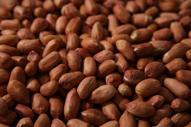 Arka plan olarak pek çok taze kabuksuz fıstık, yakın plan