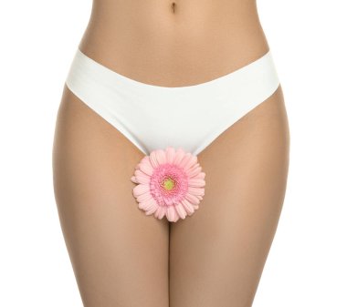 Jinekoloji. Beyaz arka planda Gerbera çiçeği olan iç çamaşırlı kadın, yakın plan.