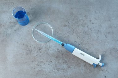 Laboratuvar analizi. Mikropipet, petri kabı ve deney şişesi gri masada, en üstte.