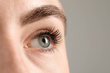 Gri arka planda güzel gözlü bir kadının Macro fotoğrafı. Metin için boşluk