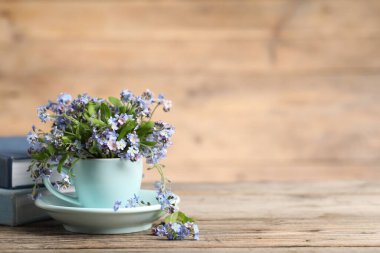 Güzel unutma beni çiçekleri fincanda ve çay tabağında, ahşap masada, yakın plan. Metin için boşluk