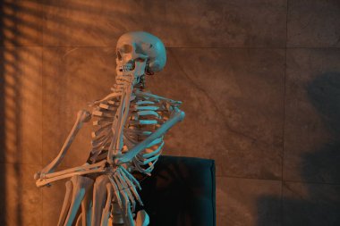 Bekleme konsepti Kapalı bir koltukta oturan insan iskeleti, metin için boşluk