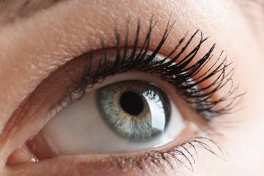 Güzel gözlü bir kadının Macro fotoğrafı.