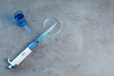 Laboratuvar analizi. Mikropipet, petri kabı ve beher kabı gri masada, üst tarafta. Metin için boşluk