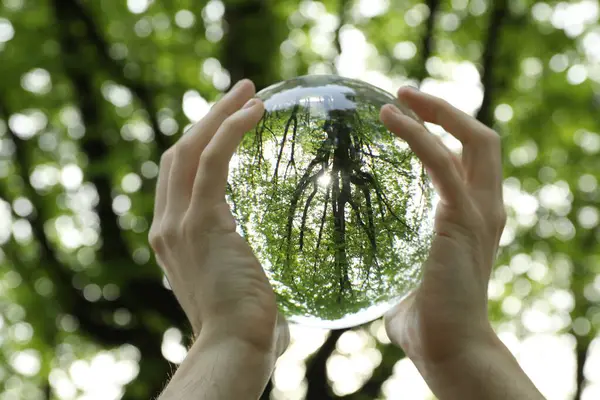 stock image Beautiful green trees outdoors, overturned reflection. Man holding crystal ball in park, closeup