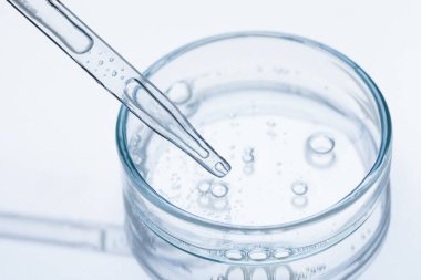 Cam pipet ve petri kabında bej arka planda sıvı, yakın plan.