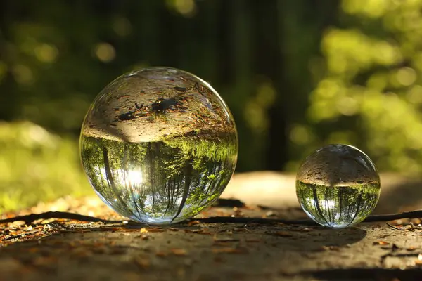 Yeşil ağaçlı güzel orman, ters dönmüş yansıma. Açık havada kristal toplar