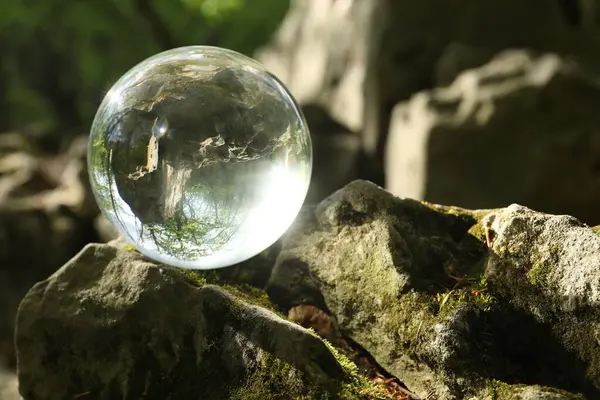 stock image Beautiful forest with green trees, overturned reflection. Crystal ball on stone outdoors