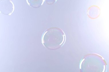 Gri arkaplanda güzel şeffaf sabun köpükleri