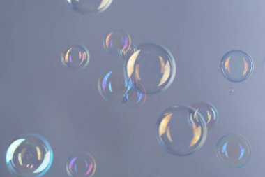 Gri arkaplanda güzel şeffaf sabun köpükleri