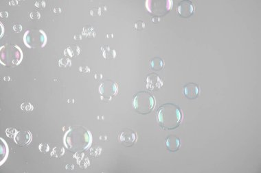 Gri arkaplanda güzel şeffaf sabun köpükleri