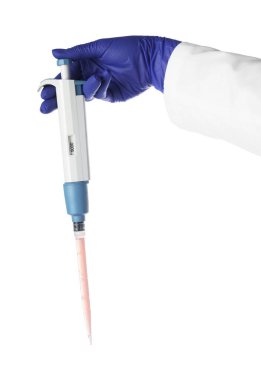 Laboratuvar analizi. Beyaz arka planda mikro pipet tutan bilim adamı, yakın plan.