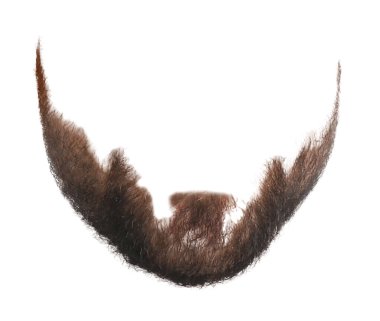 Beyazda izole edilmiş kahverengi sakal. Yüz kılları.