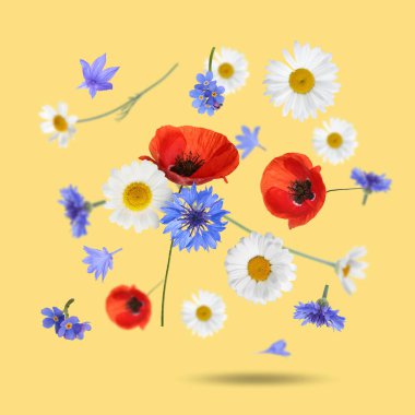 Soluk turuncu arka plana düşen güzel çayır çiçekleri