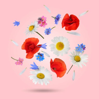 Pembe arka plana düşen güzel çayır çiçekleri