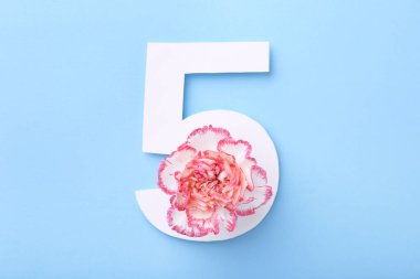 5 numaralı kağıt ve açık mavi arkaplanda güzel bir çiçek.