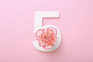 5 numaralı kağıt ve pembe arka planda güzel karanfil çiçeği, üst manzara.