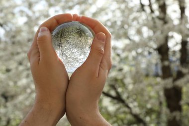Açık havada beyaz çiçekli güzel bir ağaç, ters dönmüş bir yansıma. Bahar bahçesinde kristal küreyi tutan adam, yakın plan. Metin için boşluk
