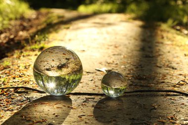 Yeşil ağaçlı güzel orman, ters dönmüş yansıma. Açık havada kristal toplar