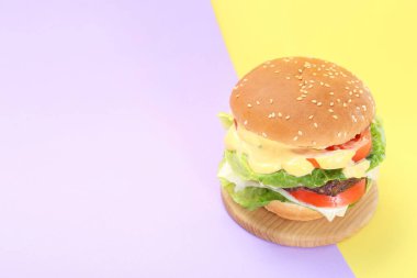 Renkli arkaplanlı lezzetli köfteli hamburger. Metin için boşluk