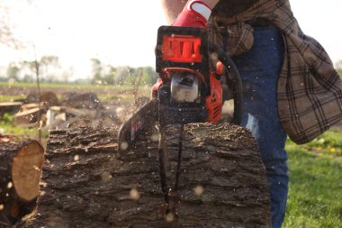 Ağaç kesen bir adam, yakın çekim manzarası.