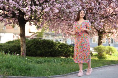 Beautiful woman and blossoming trees on spring day
