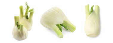 Çiğ rezene soğanları beyaz üzerine izole edilmiş.